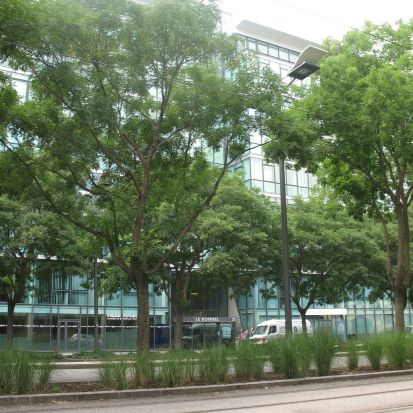 Bureau Lyon 2148m² Location bureau Lyon Rhône OLBUR2202362 2